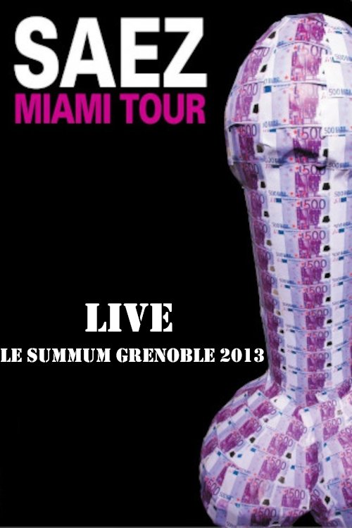 Poster de Damien Saez en live au Summum 2013
