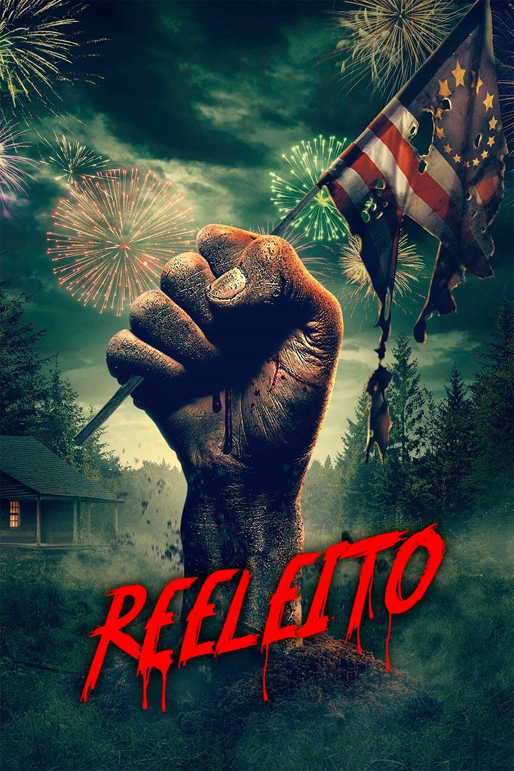 Poster de Reeleito