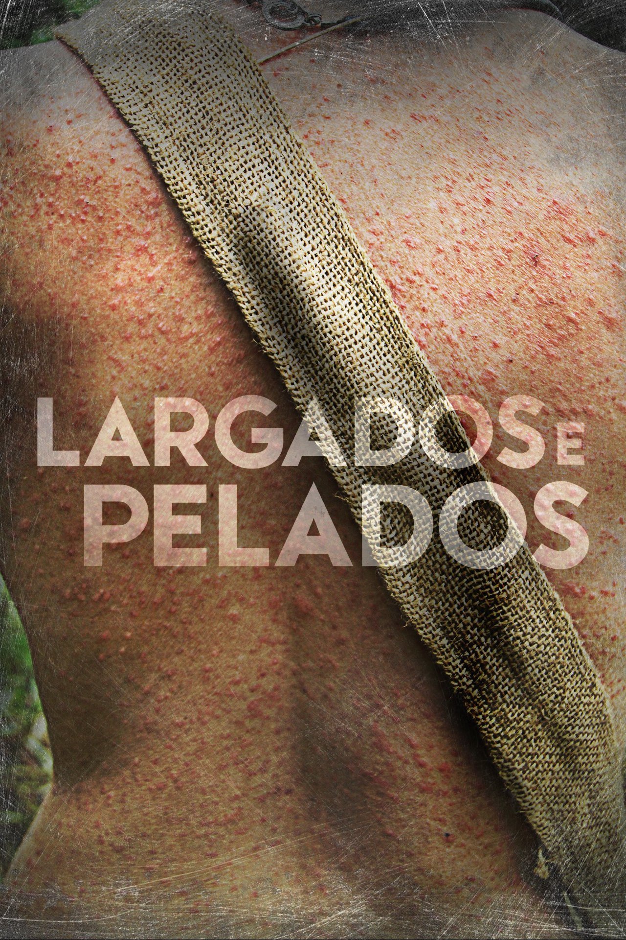 Poster de Temporada 5