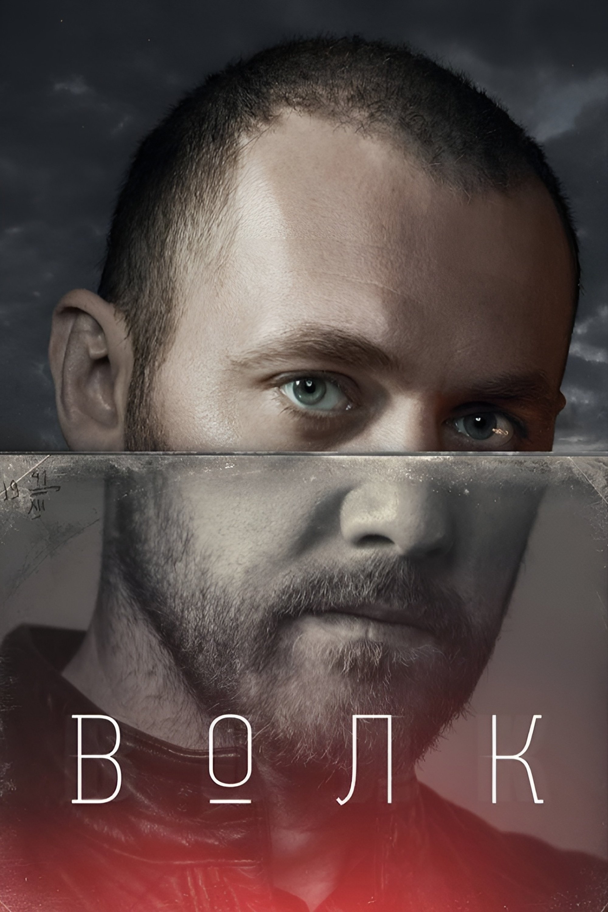 Poster de Волк