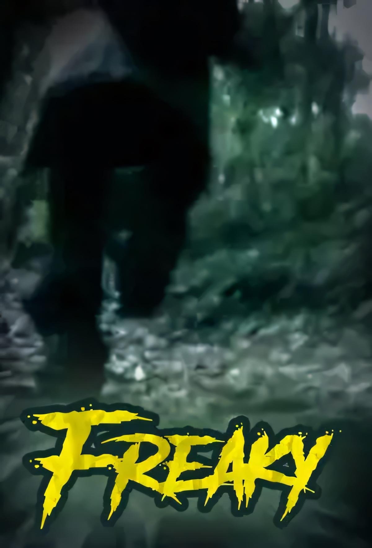 Poster de Freaky