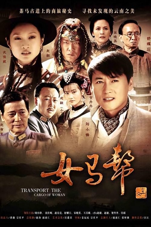 Poster de 女马帮