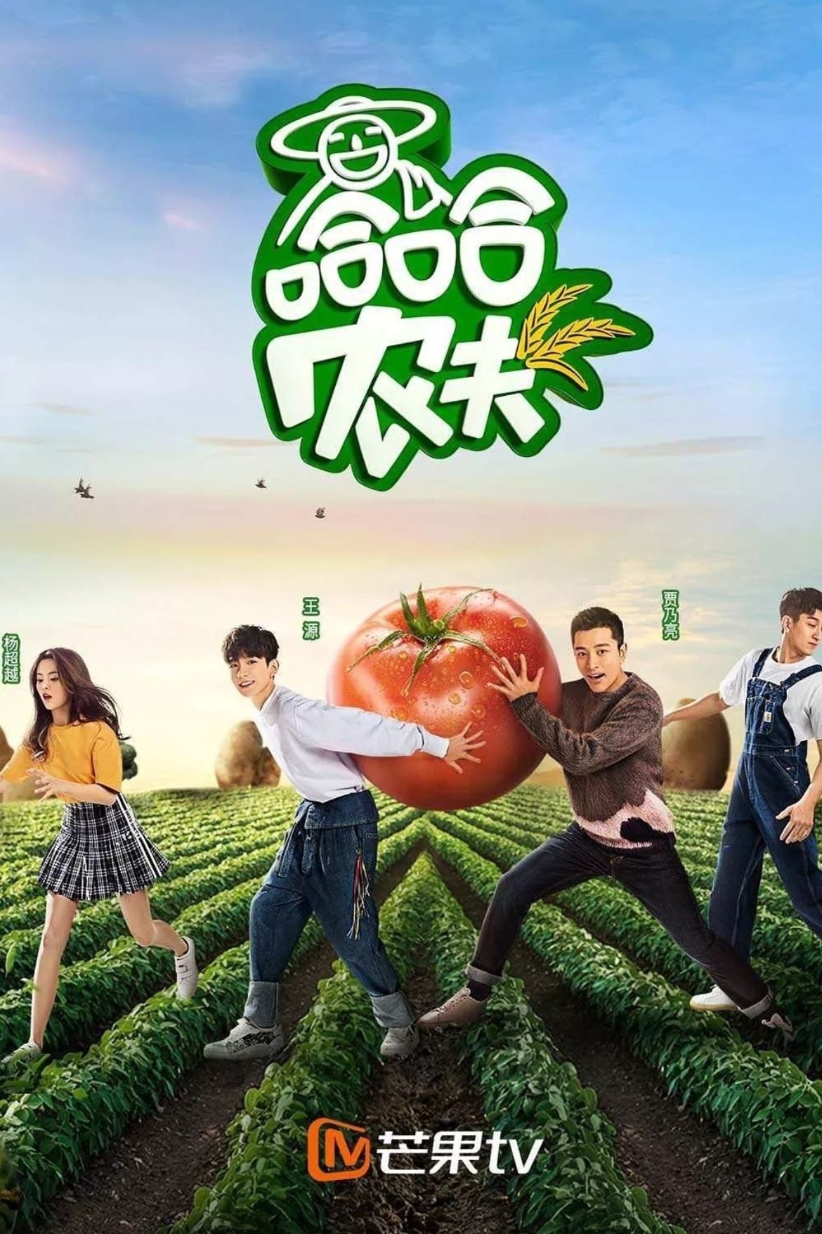 Poster de 哈哈农夫