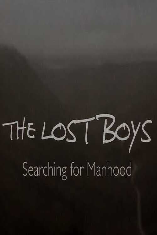 Poster de The Lost Boys: Searching for Manhood