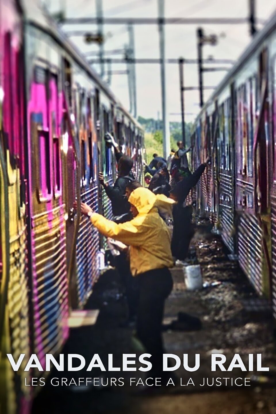 Poster de Vandales Du rail : Les graffeurs Face A La Justice