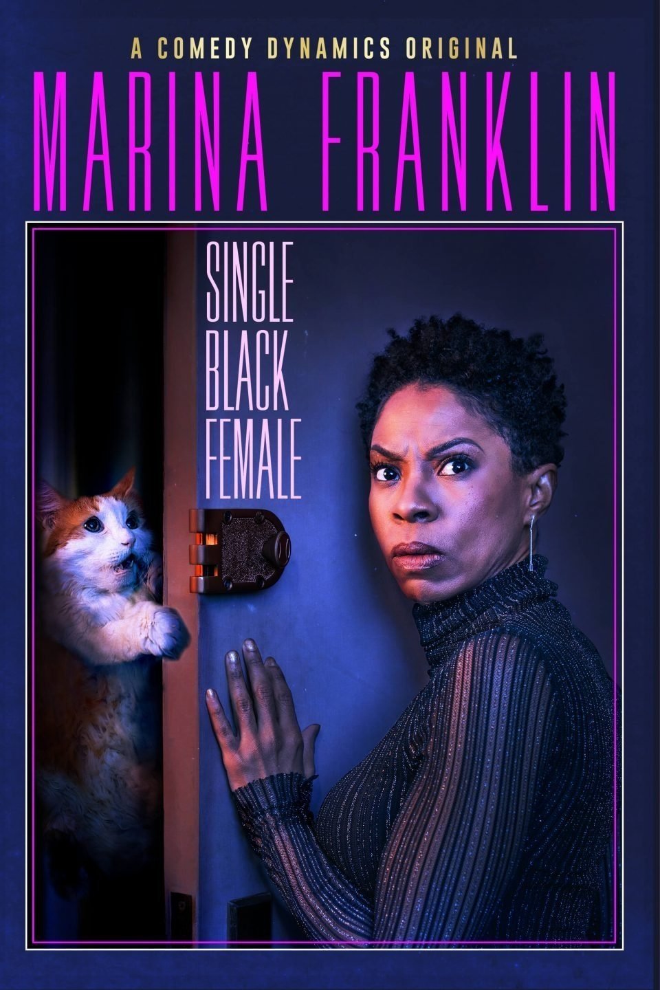 Poster de Marina Franklin: Single Black Female