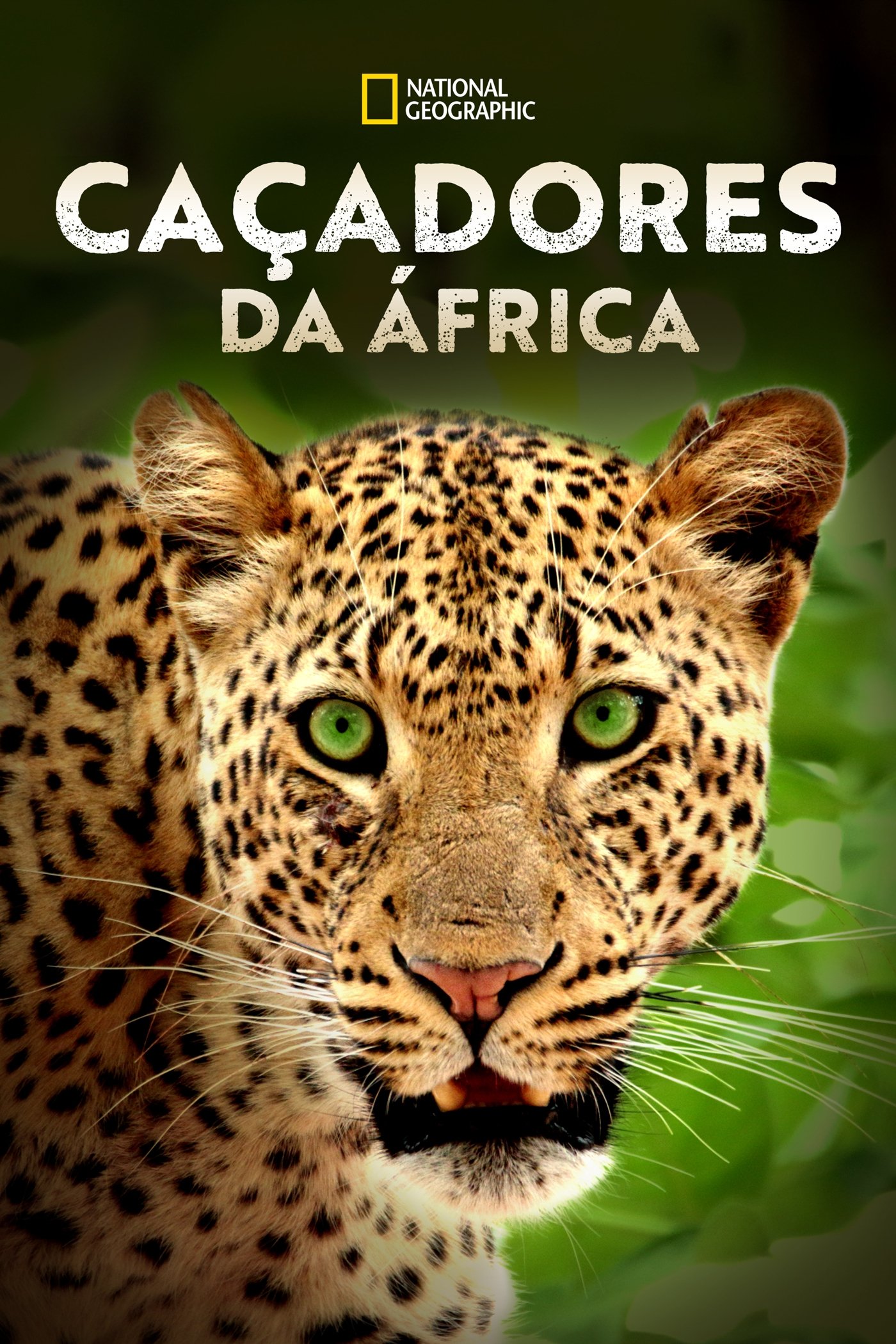 Poster de Caçadores da África
