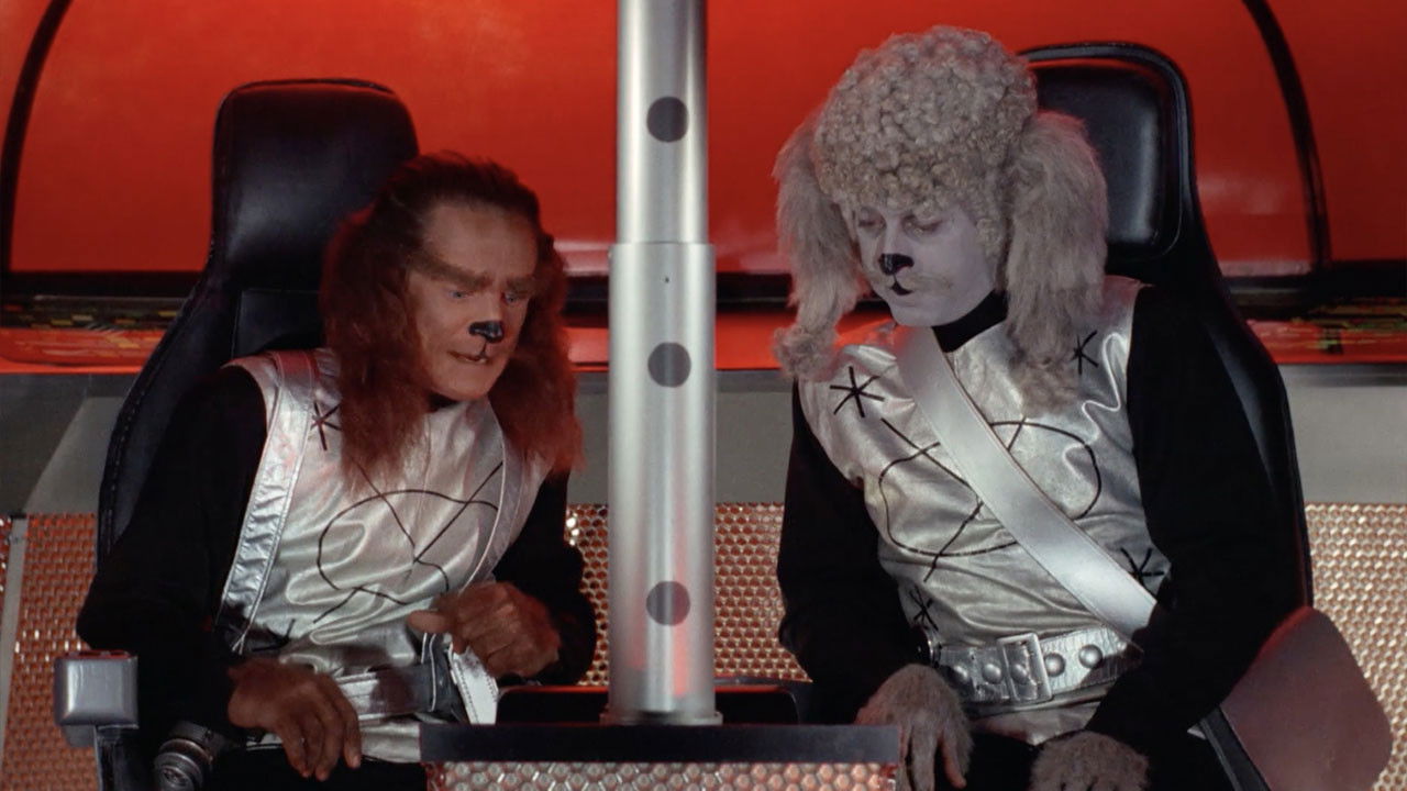 Samantha's Secret Saucer