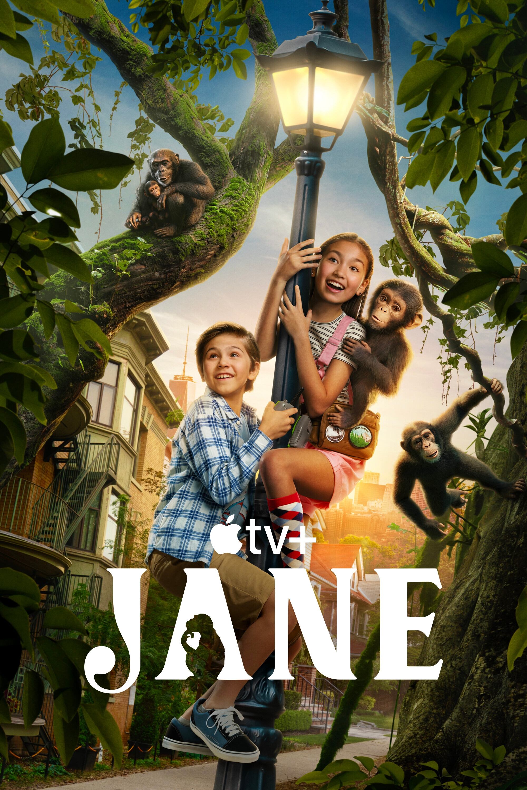 Poster de Jane