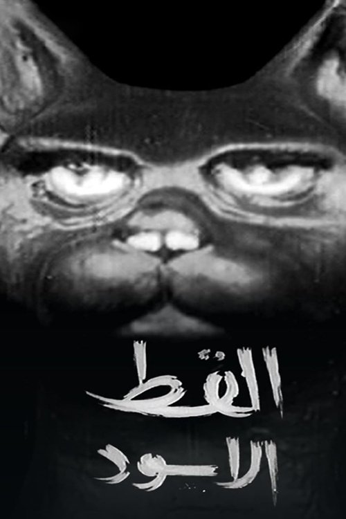Poster de القط الأسود