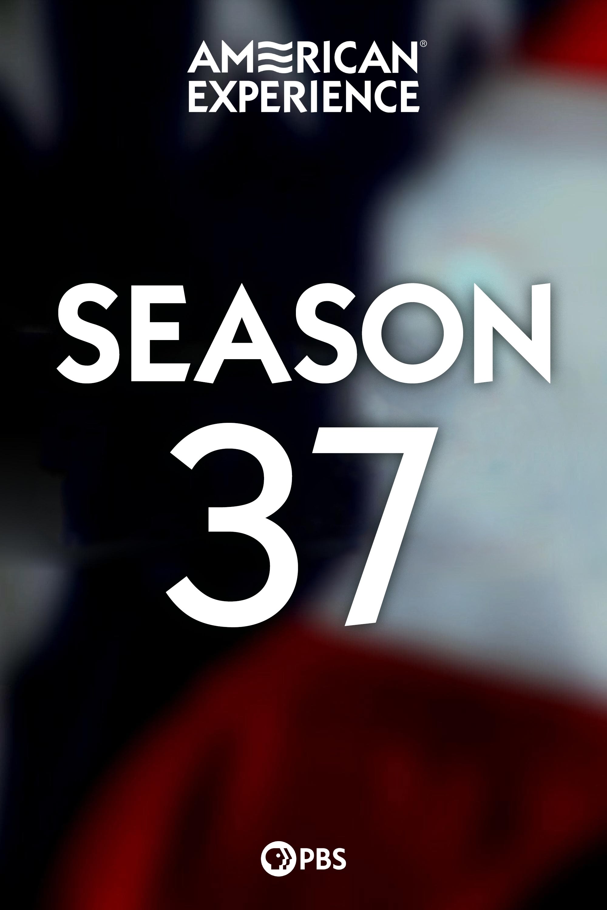 Poster de Temporada 37