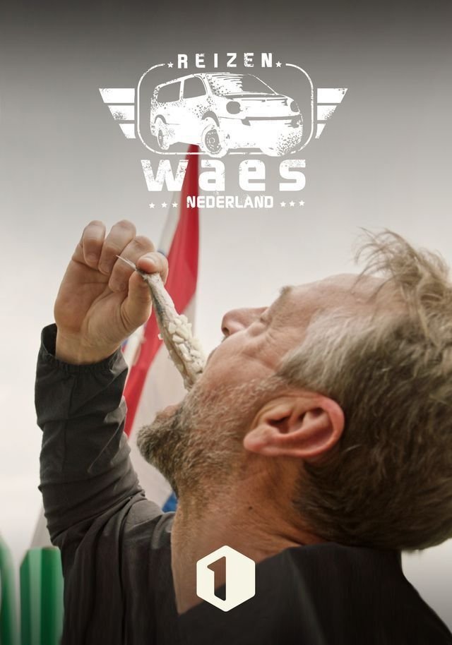 Poster de Temporada 7