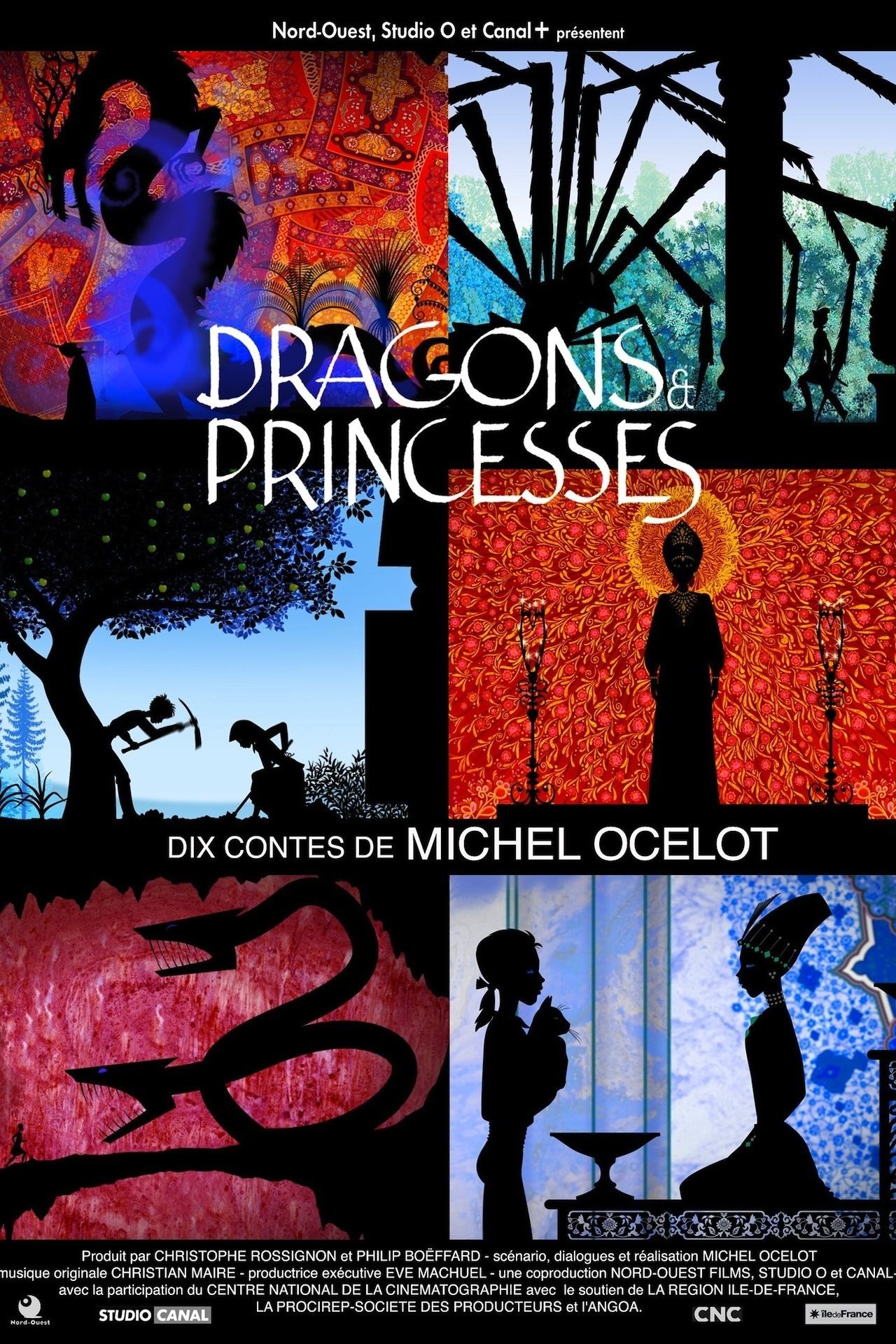 Poster de Dragons et Princesses