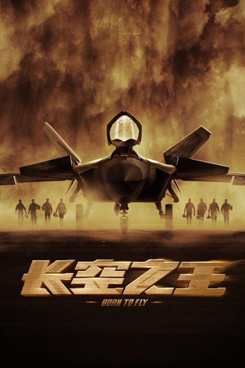 Poster de 长空之王