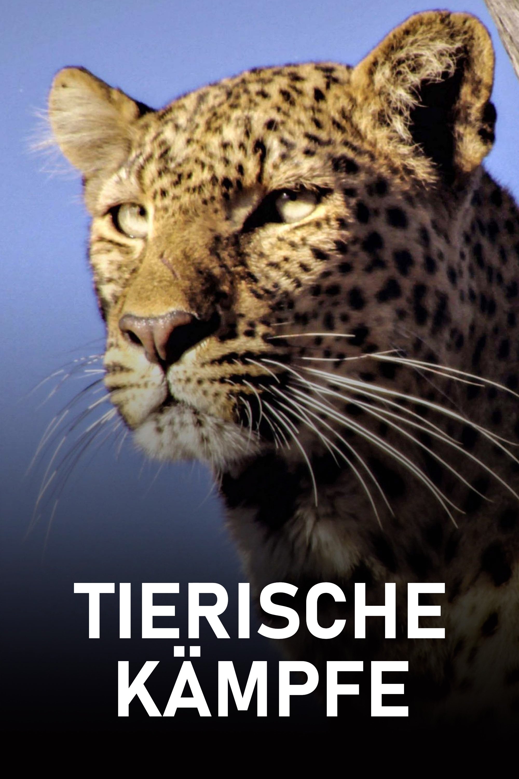 Poster de Tierische Kämpfe