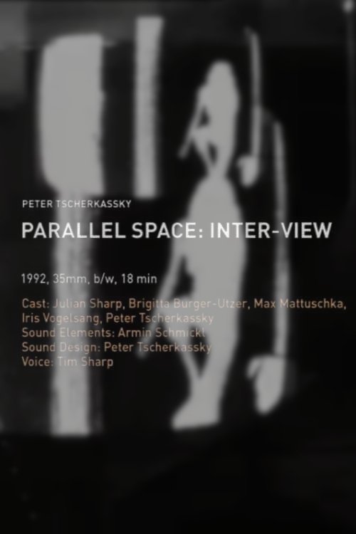 Poster de Parallel Space: Inter-View