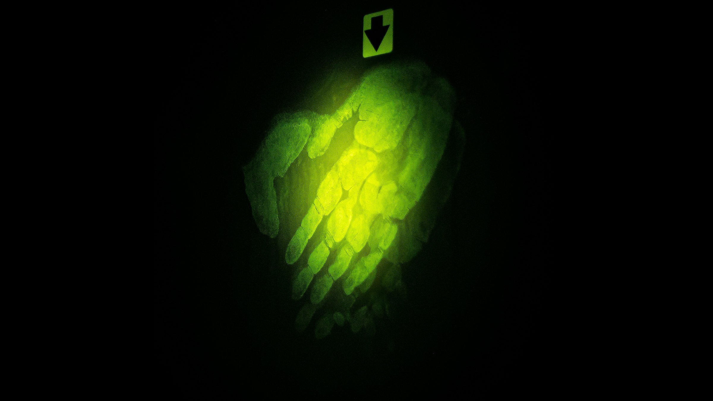 Backdrop image