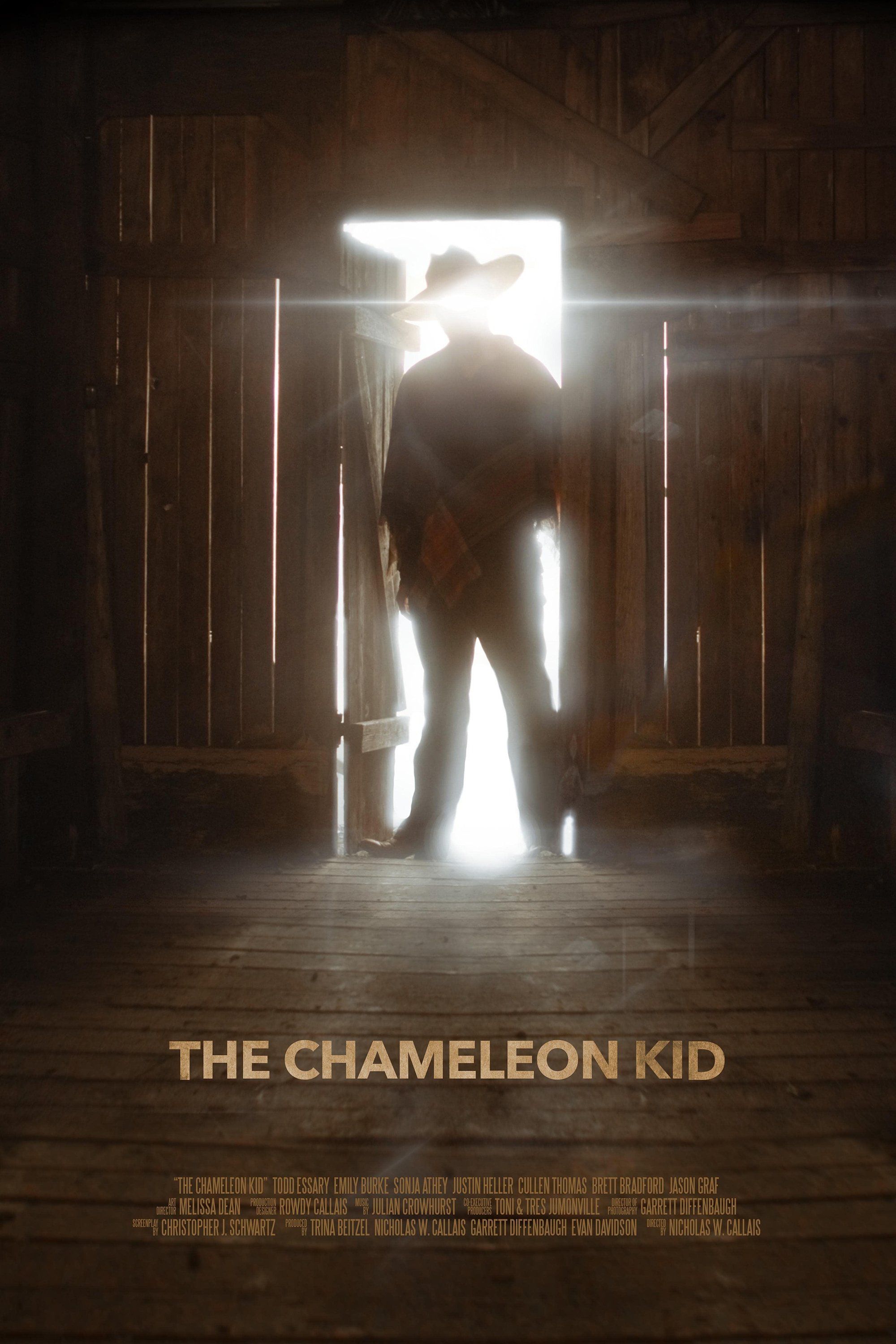 Poster de The Chameleon Kid