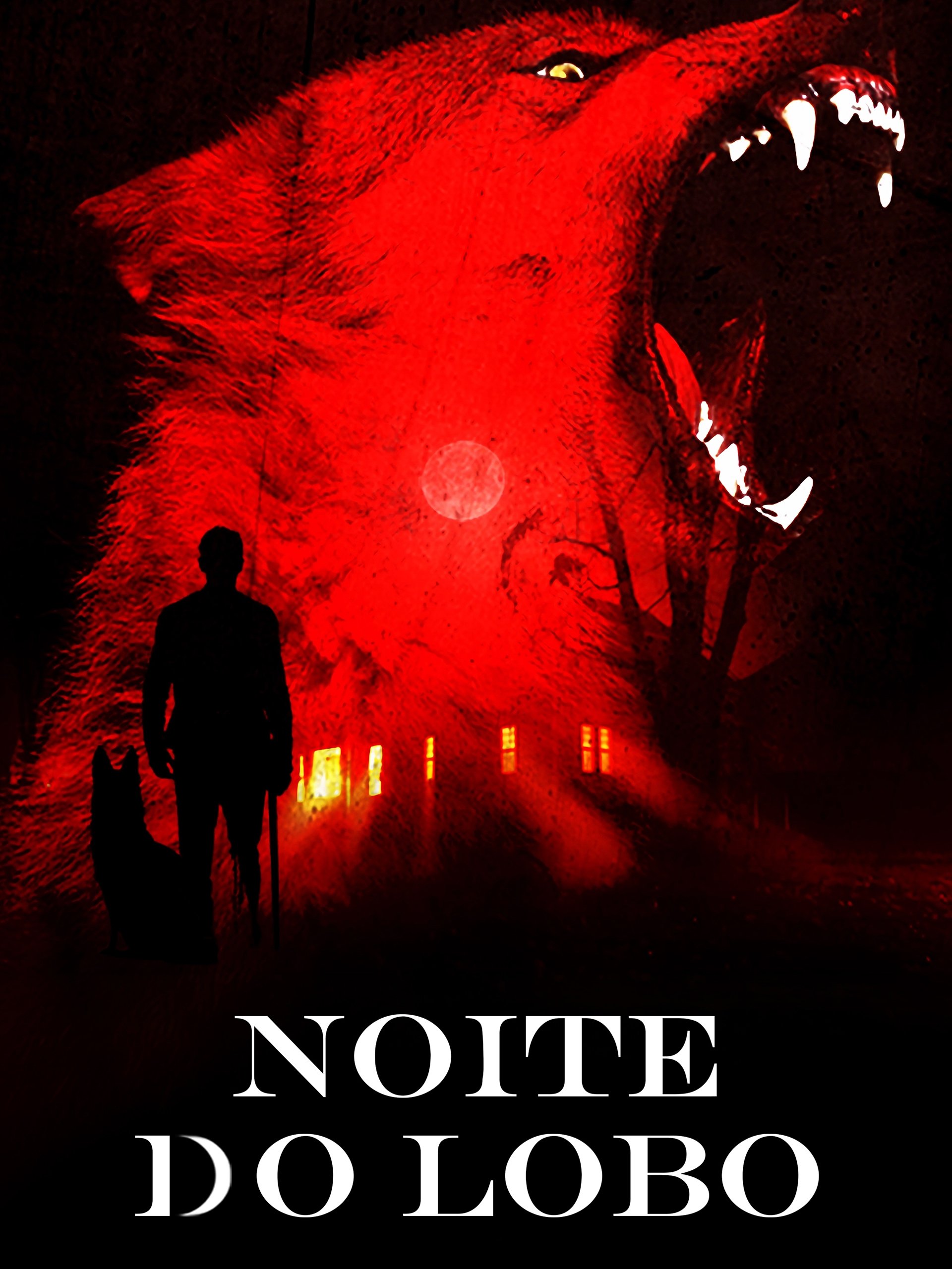 Poster de Noite do Lobo
