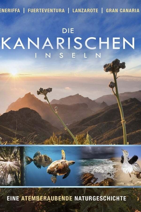 Poster de Die Kanarischen Inseln