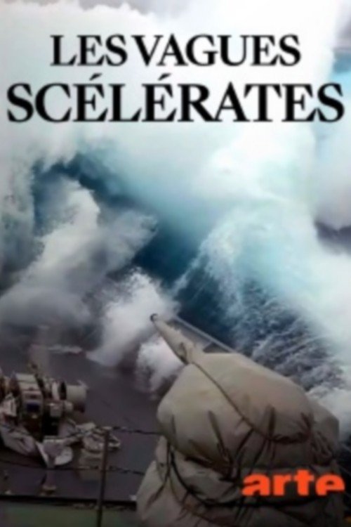 Poster de Les vagues scelerates un mystere de taille