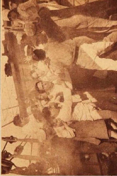 Poster de Alma chilena