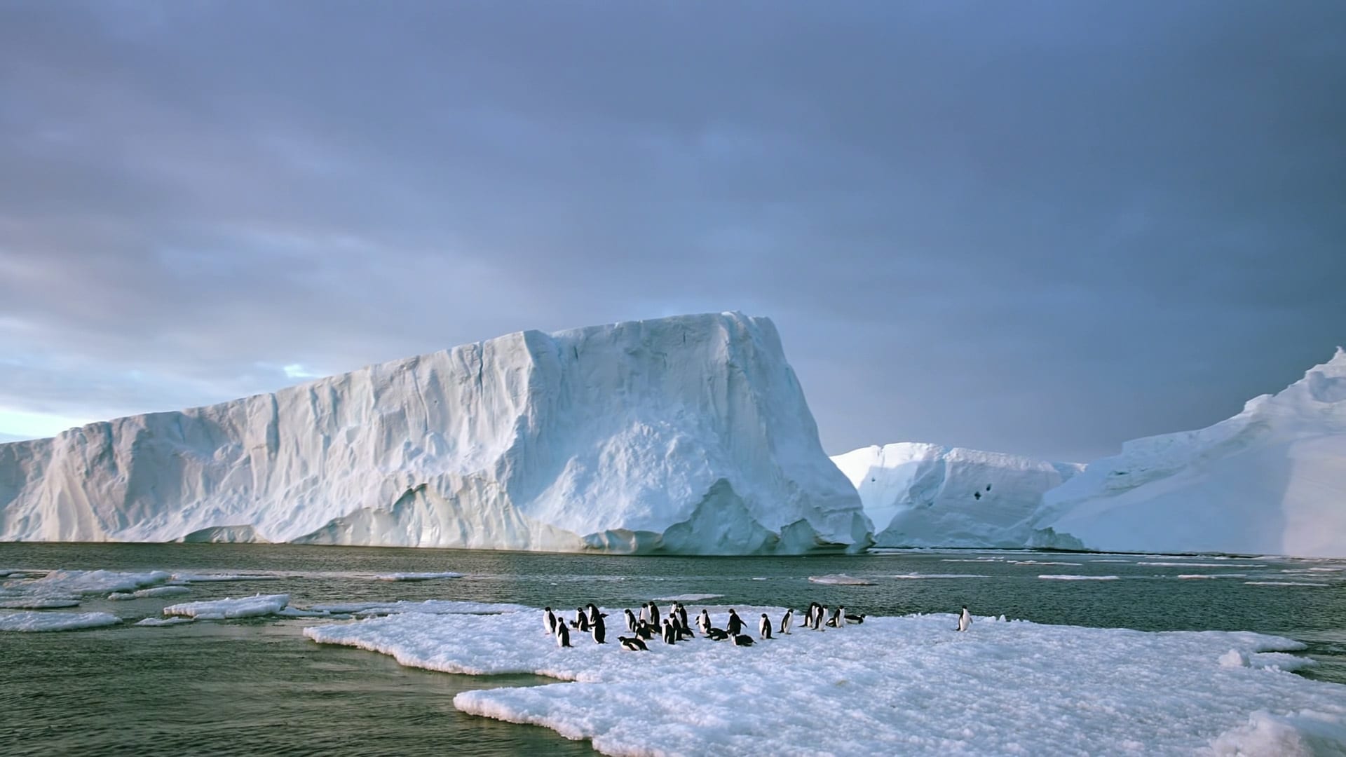 Antarctica: On the Edge 2014 123movies