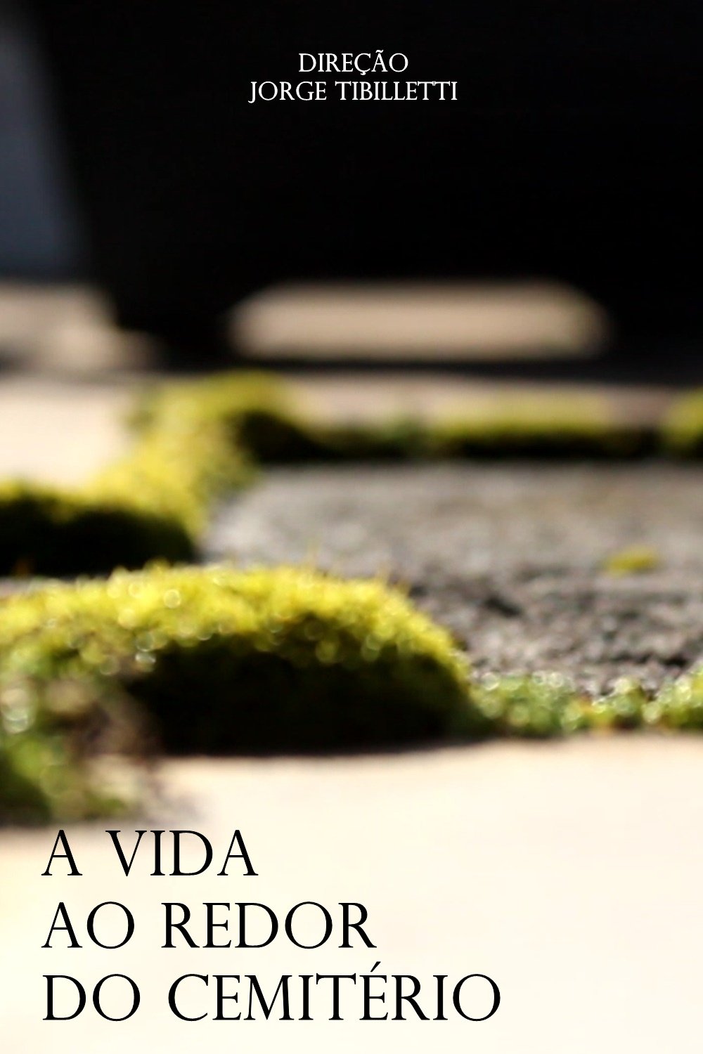 Poster de A Vida ao Redor do Cemitério