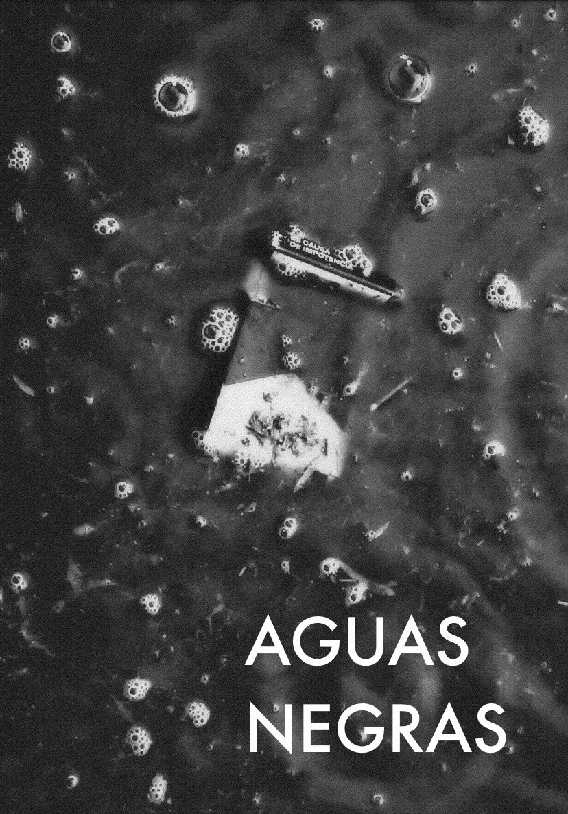 Poster de Aguas Negras