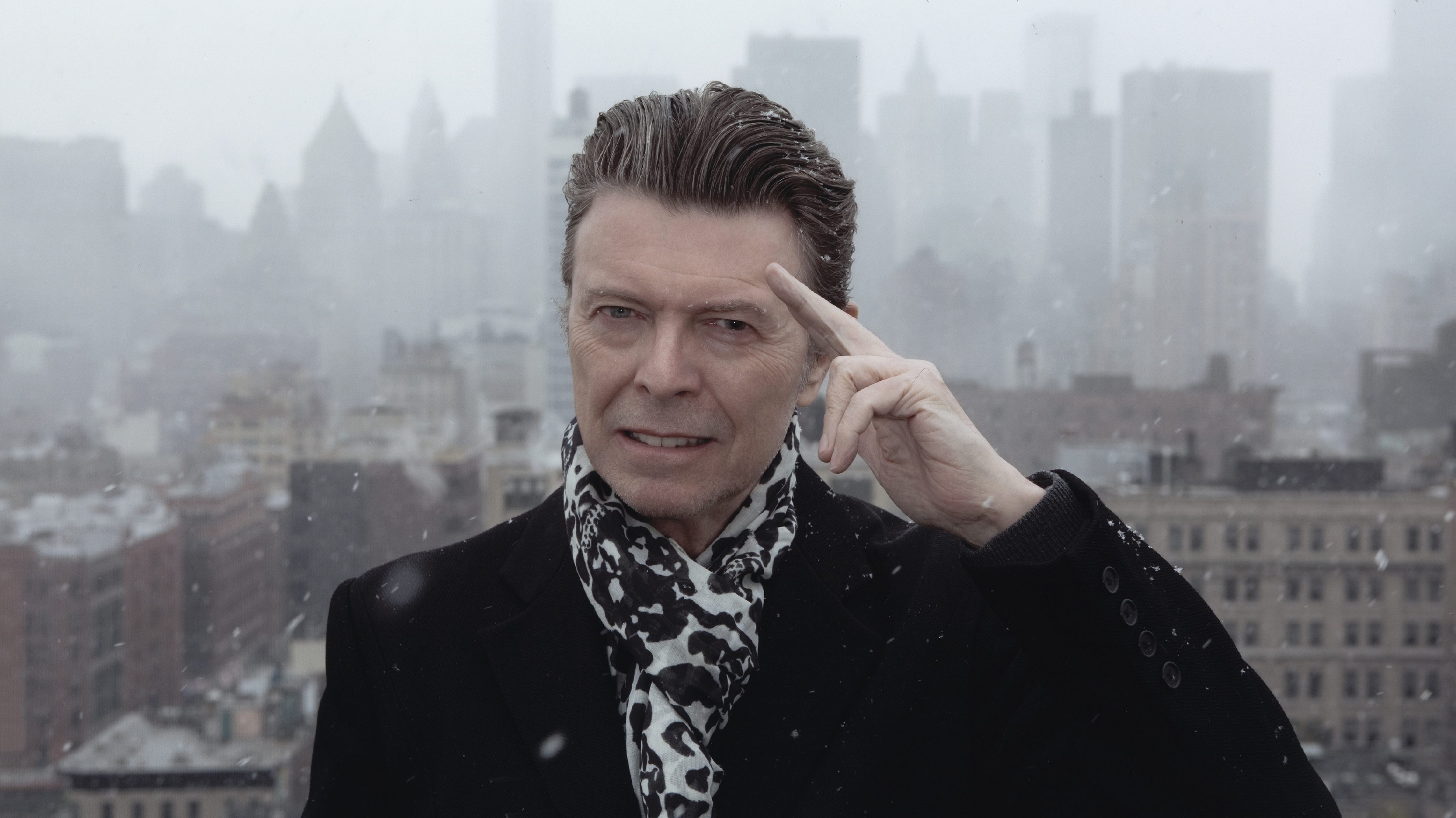 David Bowie: The Last Five Years 2017 123movies