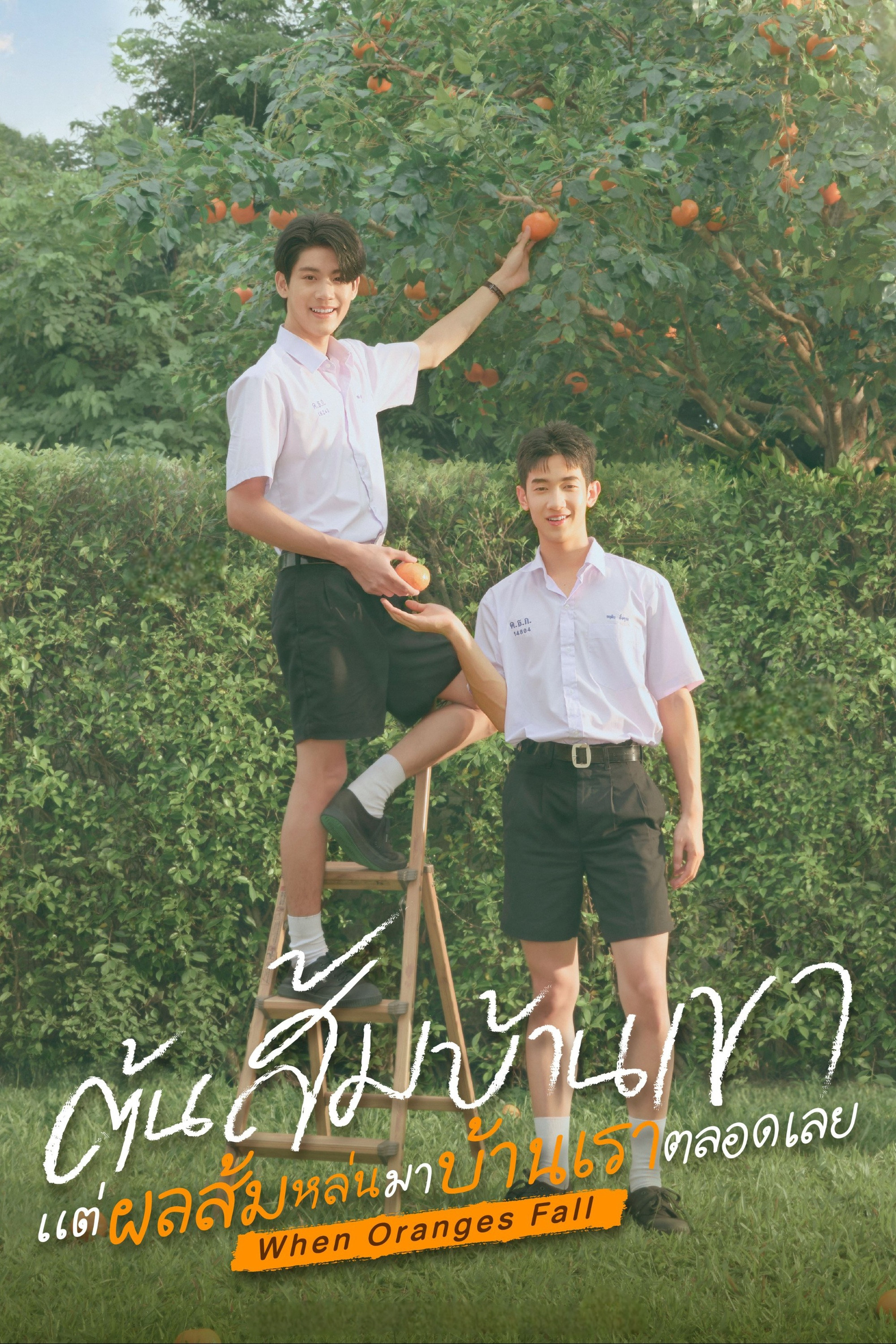 ต้นส้มบ้านเขา แต่ผลส้มหล่นมาบ้านเราตลอดเลย