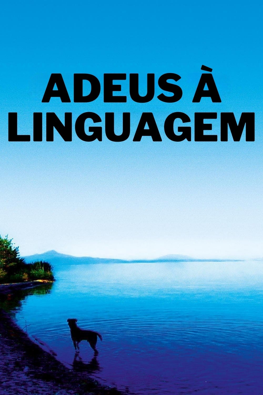 Poster de Adeus à Linguagem