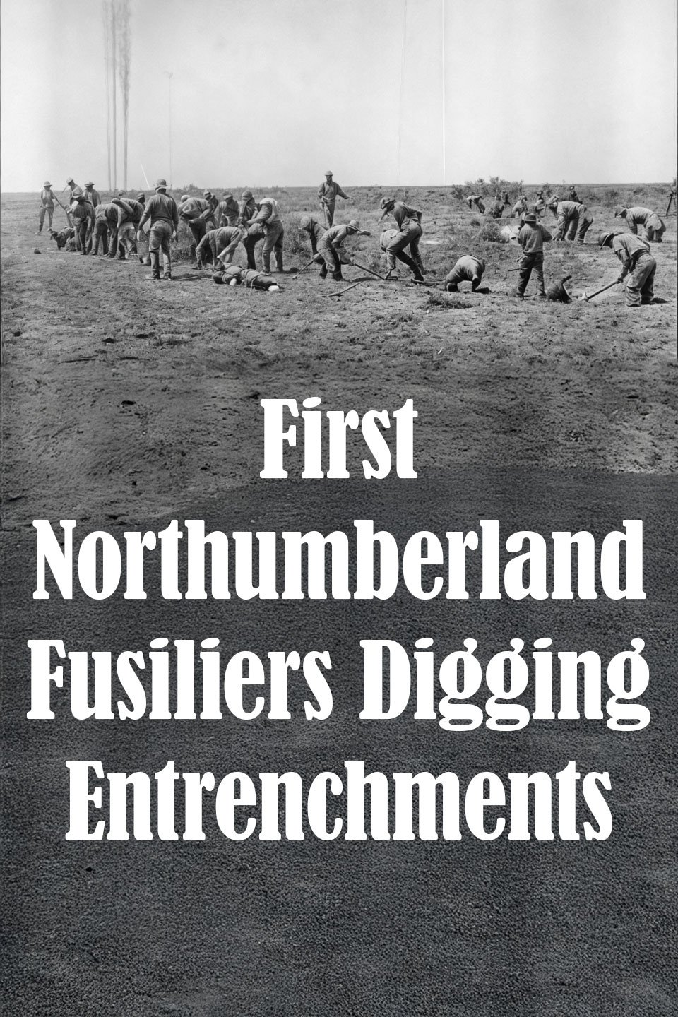 Poster de First Northumberland Fusiliers Digging Entrenchments