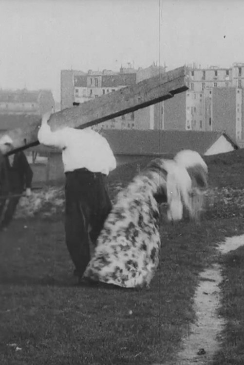 Poster de Le charpentier maladroit