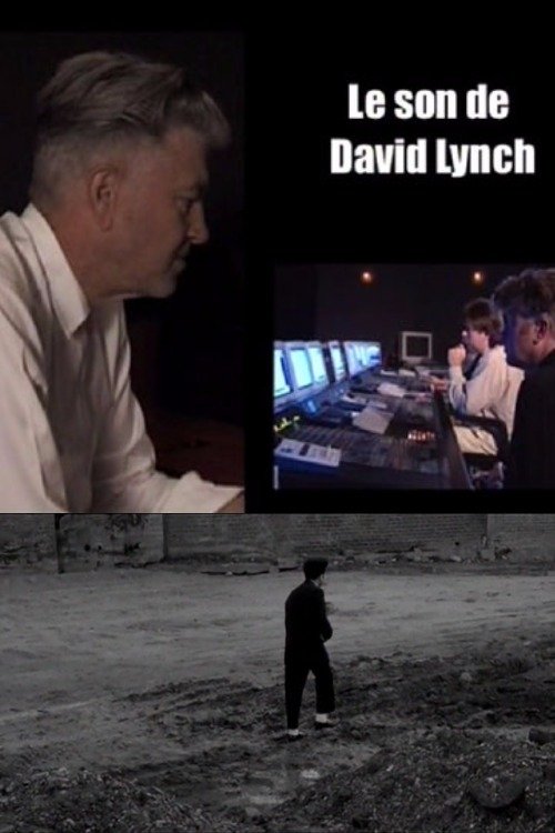 Affiche du film Le son de Lynch