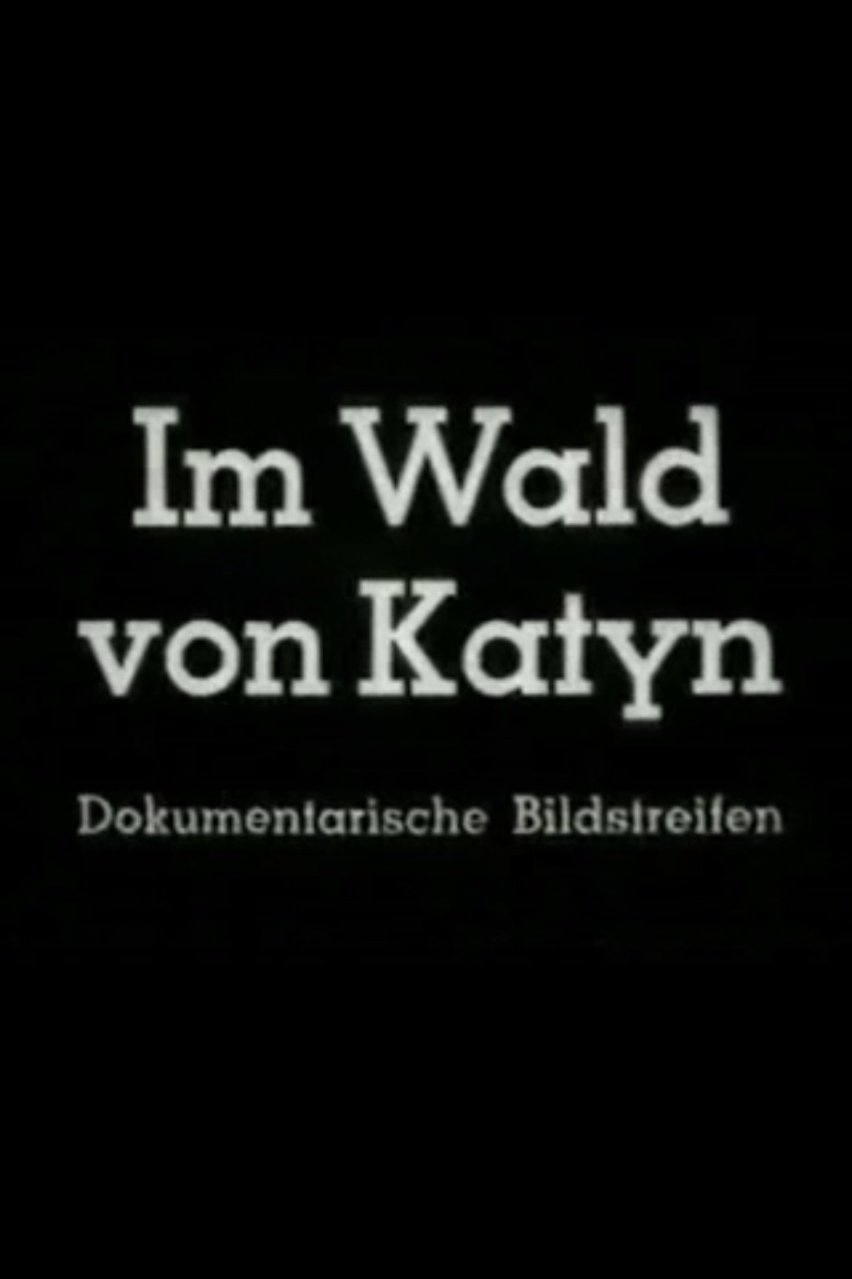 Wald von Katyn Poster