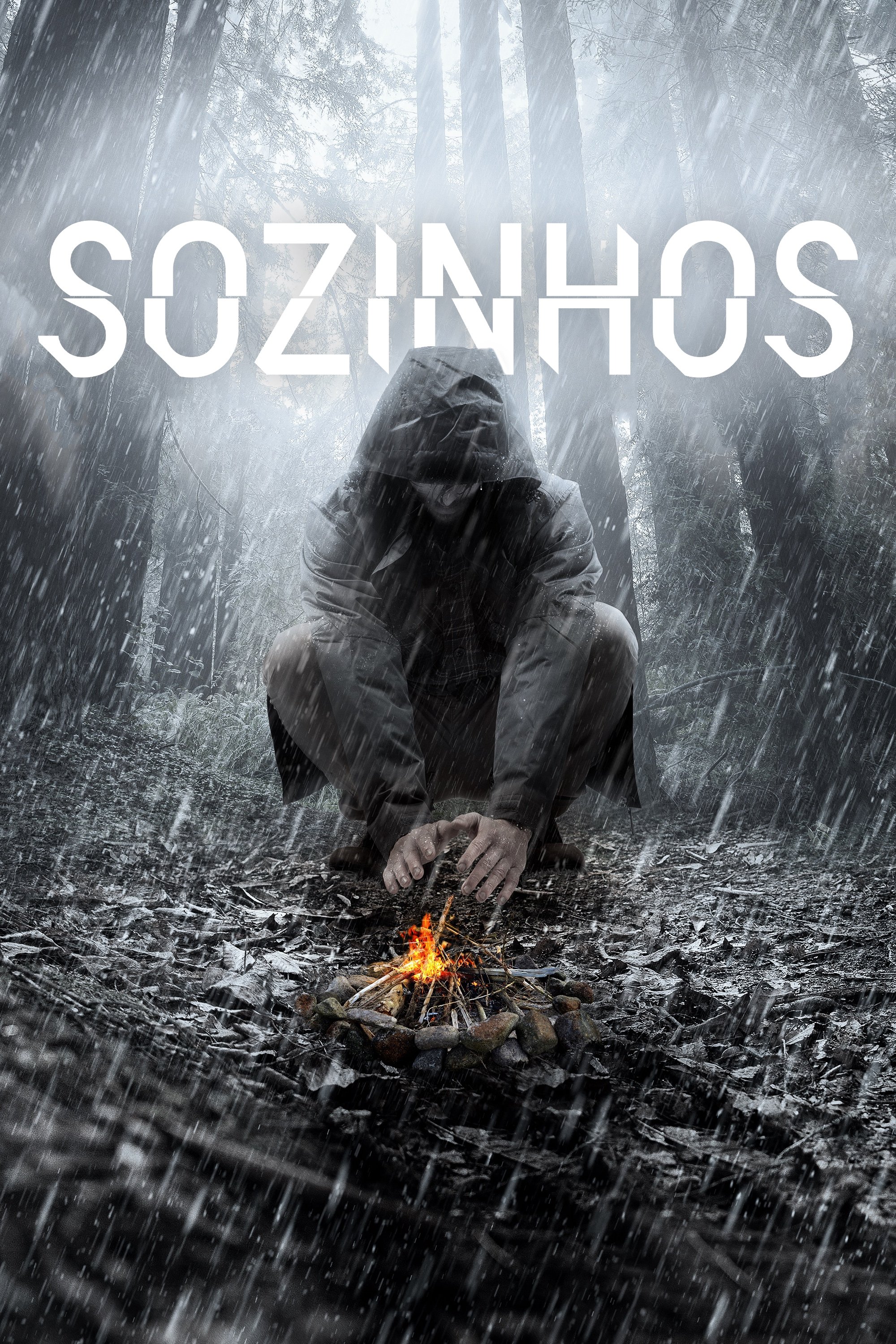 Poster de Temporada 2