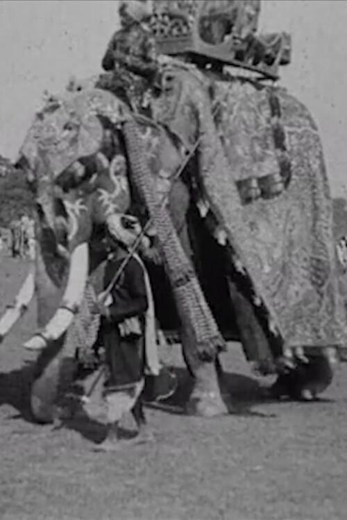 Poster de Calcutta Pageant