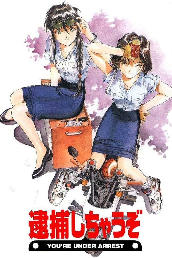 Poster de You're Under Arrest