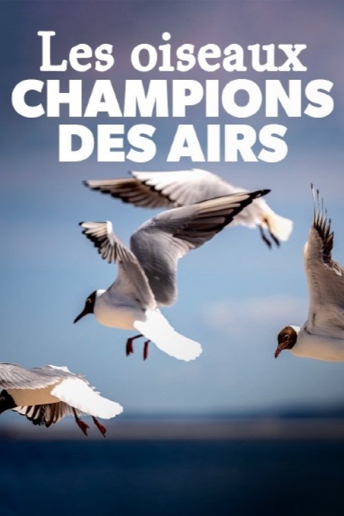 Poster de Birds