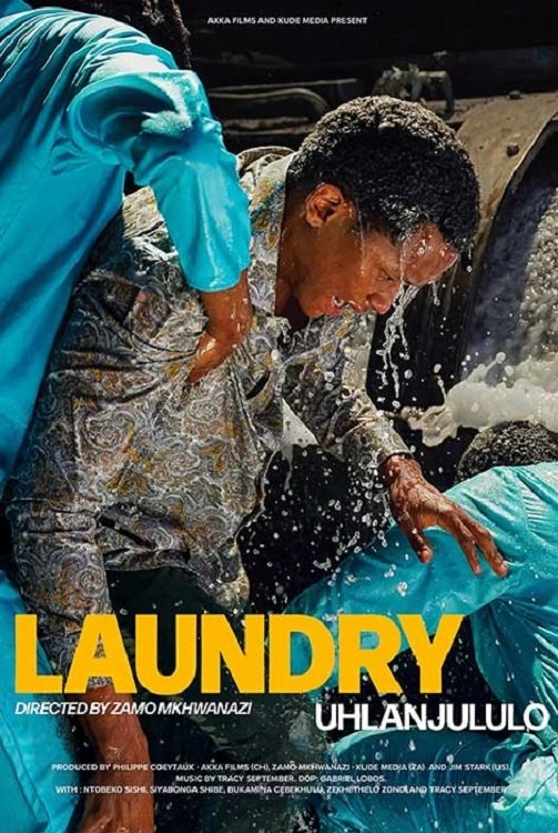 Poster de Laundry