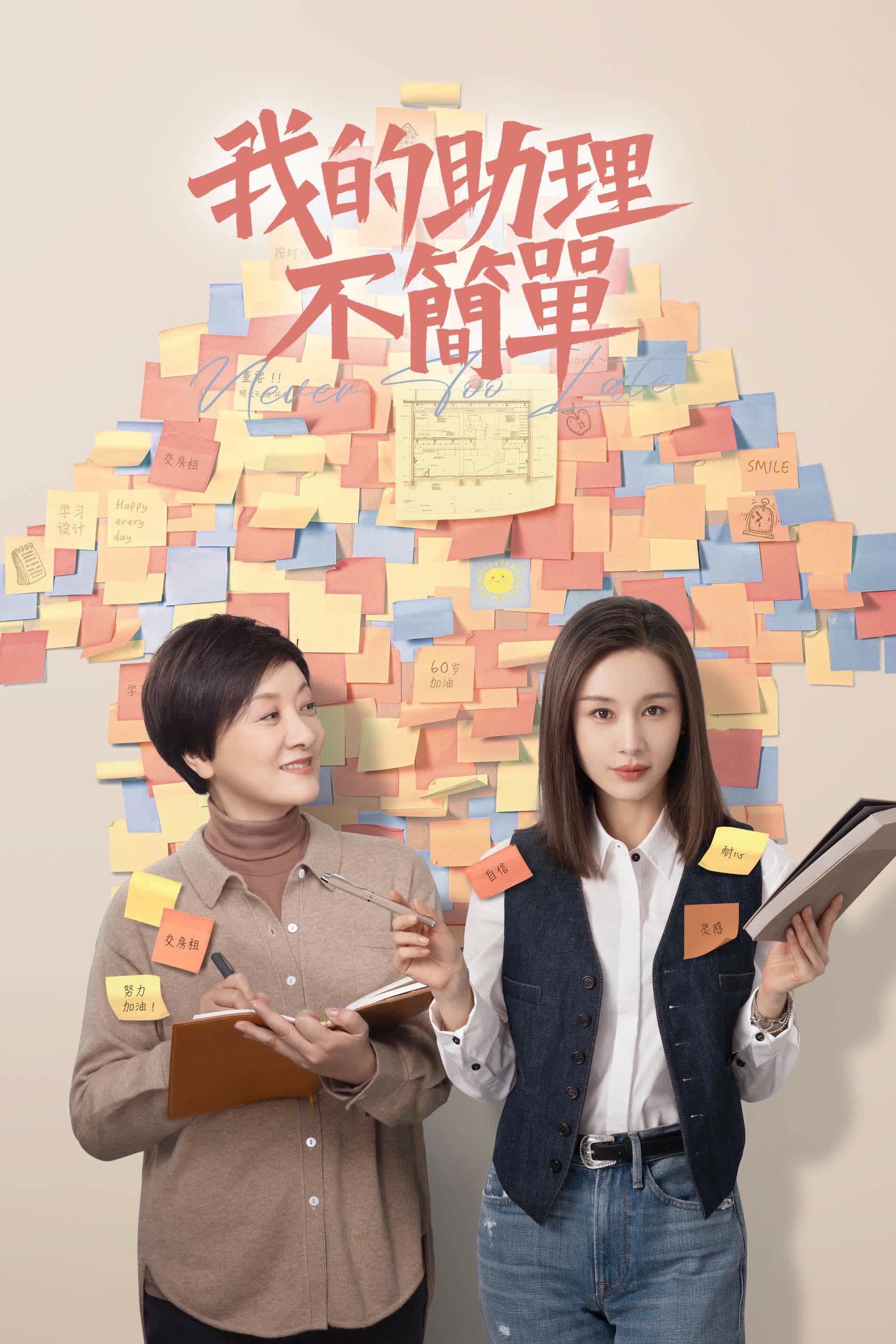 Poster de Never Too Late