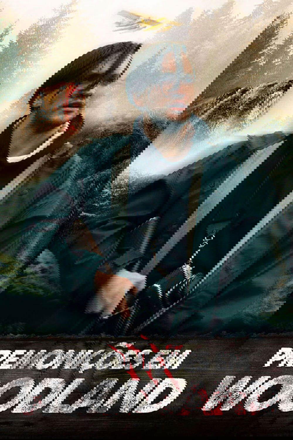 Poster de Premonições em Woodland