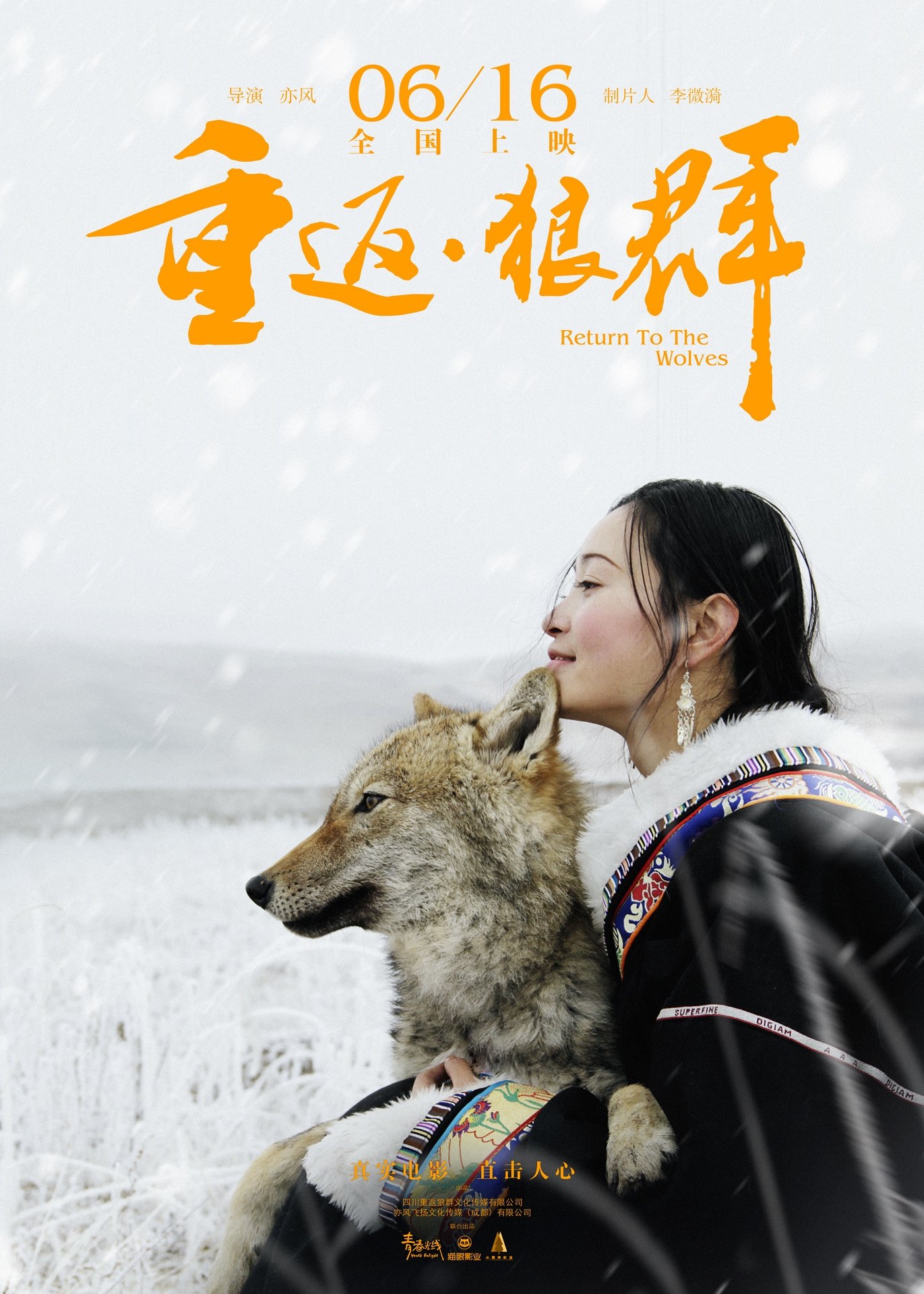 Poster de Return to the Wolves