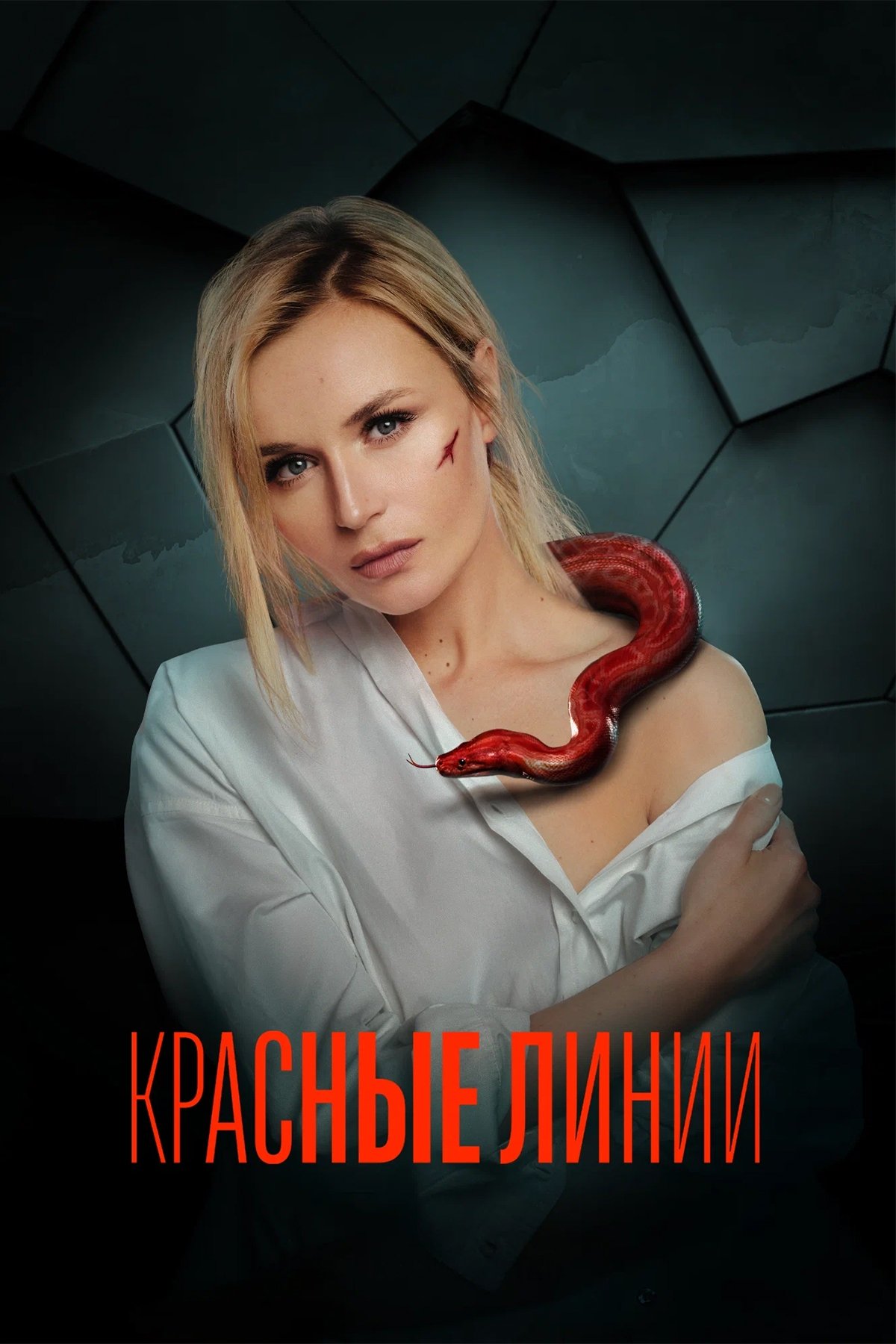 Poster de Temporada 1