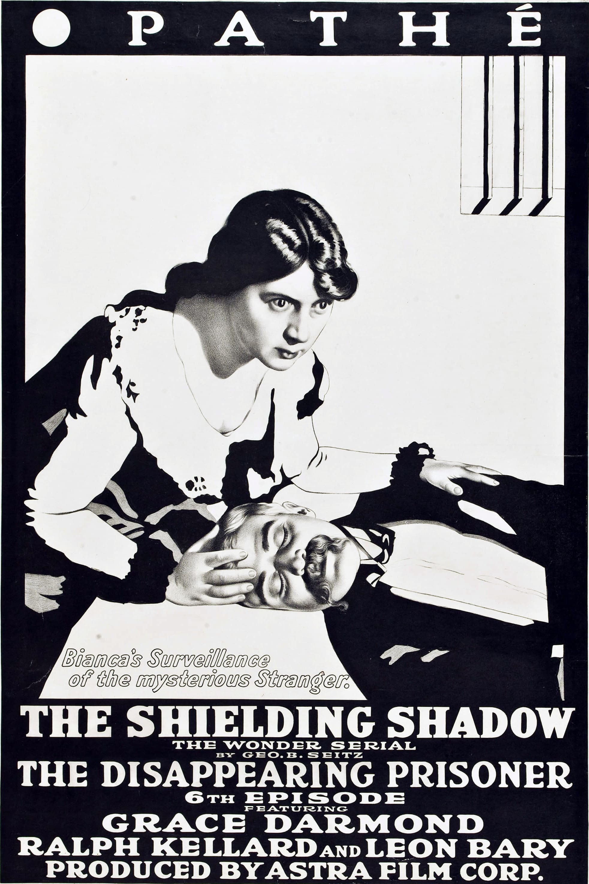 The Shielding Shadow Poster