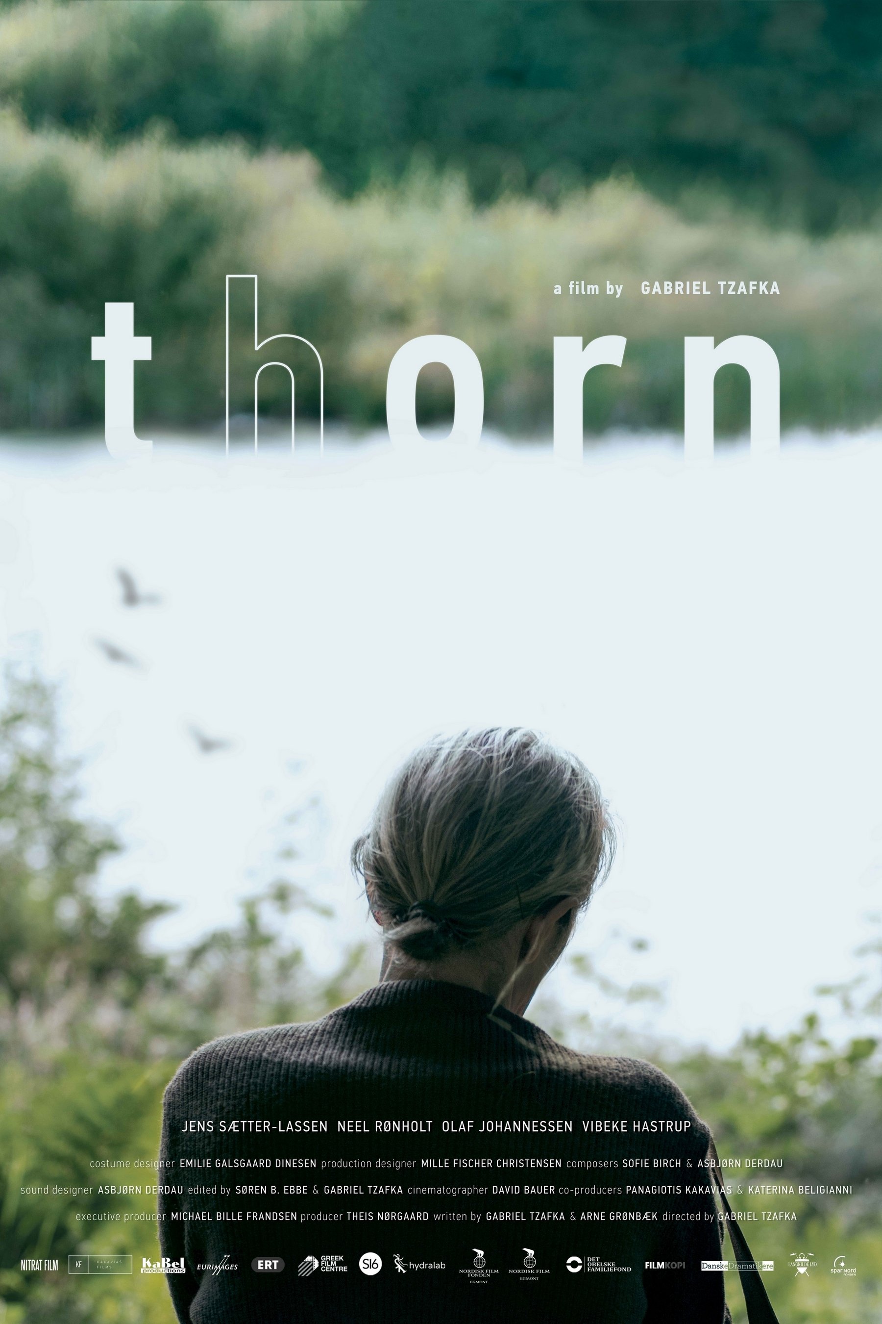 Poster de Thorn