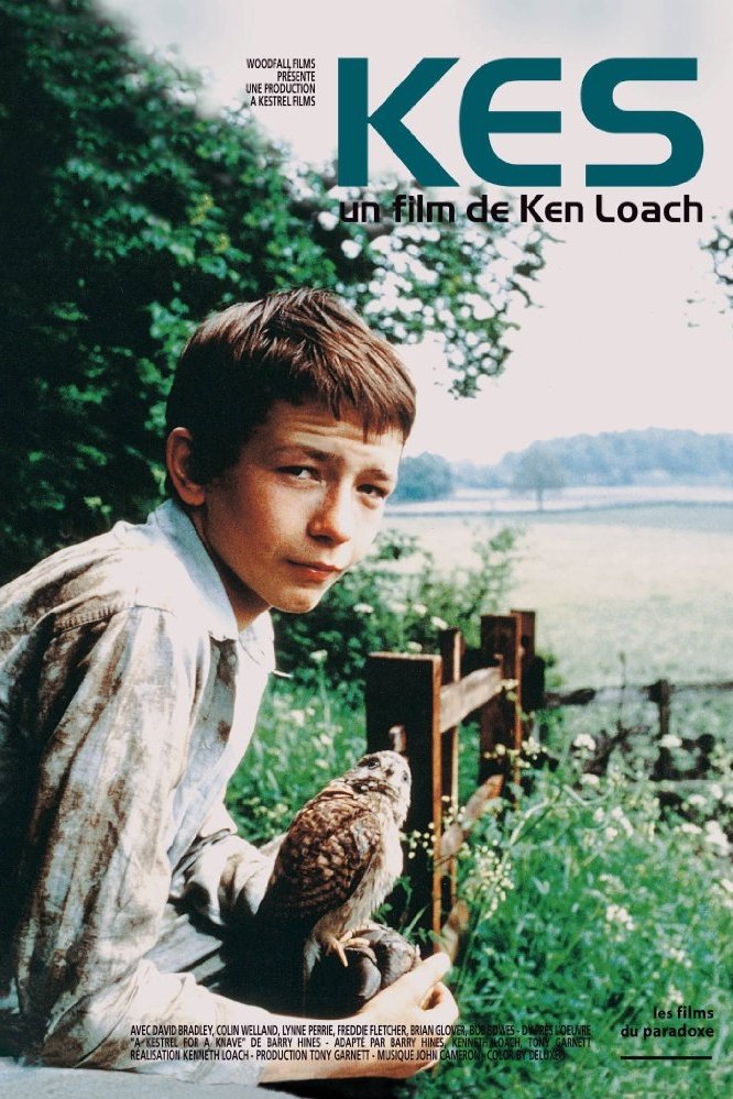 Affiche du film Kes