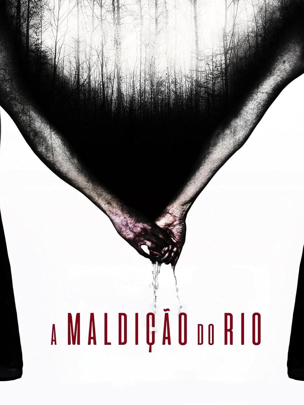 Poster de A Maldição do Rio