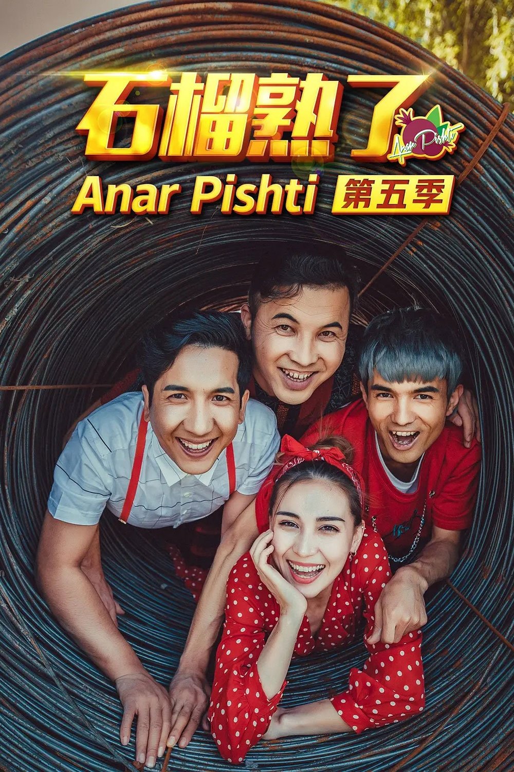 Poster de Temporada 5